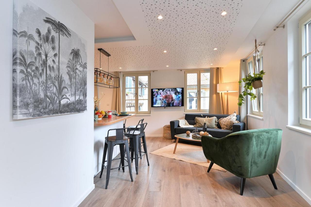 Suite Le Splendide Du Centre Historique Avec Climatisation Colmar Ngoại thất bức ảnh